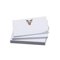 Sticky notes 140x75 mm