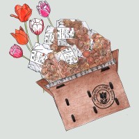 Casual: 5×10 tulpenbollen