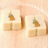 Logobonbons vierkant