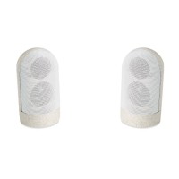 Magnetische luidsprekers