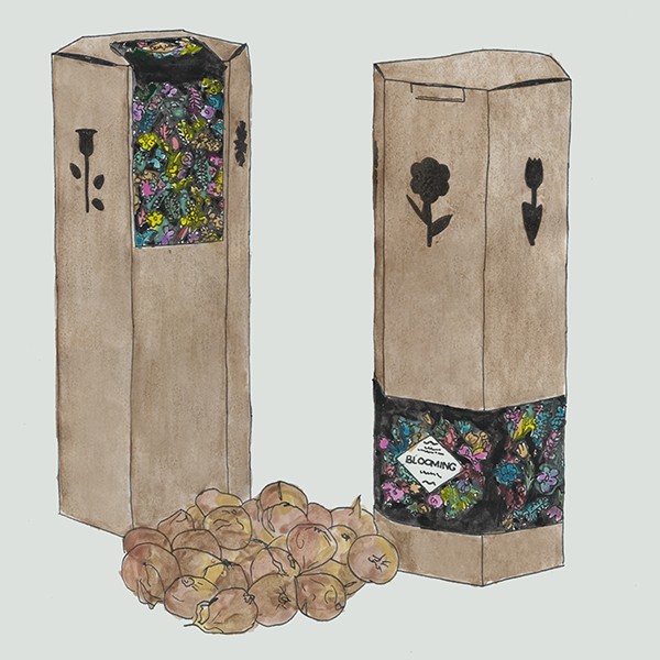 Hexagondoos vol met bloembollen