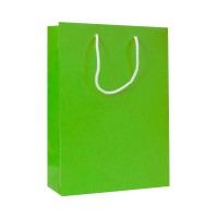 Luxe papieren draagtassen 19 + 10 x 27 cm