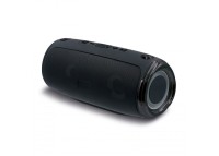 Grote speaker met schouderband 20W