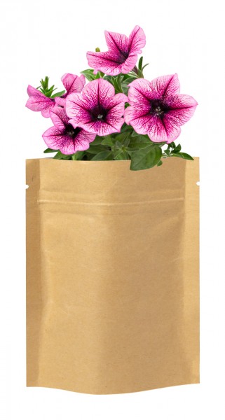 bloemen planten kit