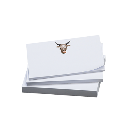 Sticky notes 140x75 mm