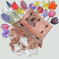 Jumbo: 290 verschillende bloembollen