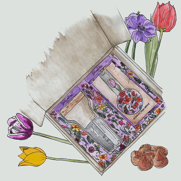 Bollenplanter en bloembollen