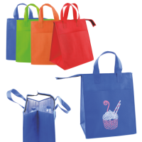 Strand- en koeltas non woven met rits 39 x 33 x 26 cm