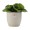 Vibers Flowerpot bloempot