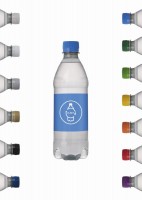 Bronwater 500 ml RPET met draaidop