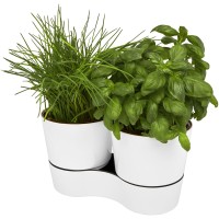 Herbs dubbele keukenpot