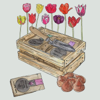 Houten kratje: 40 bloembollen en plantschepje