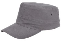 grijs (pms cool gray 8c) / grijs