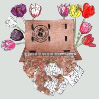 Bloembollenpakket The Giants