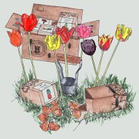 Bloembollenpakket Kraft 1