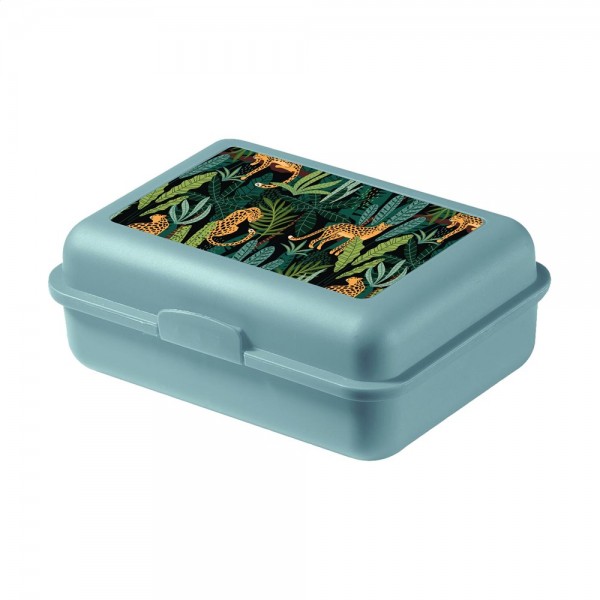 Eco LunchBox Large