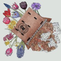 Bloembollenpakket Extravagant