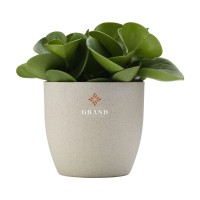 Vibers Flowerpot bloempot
